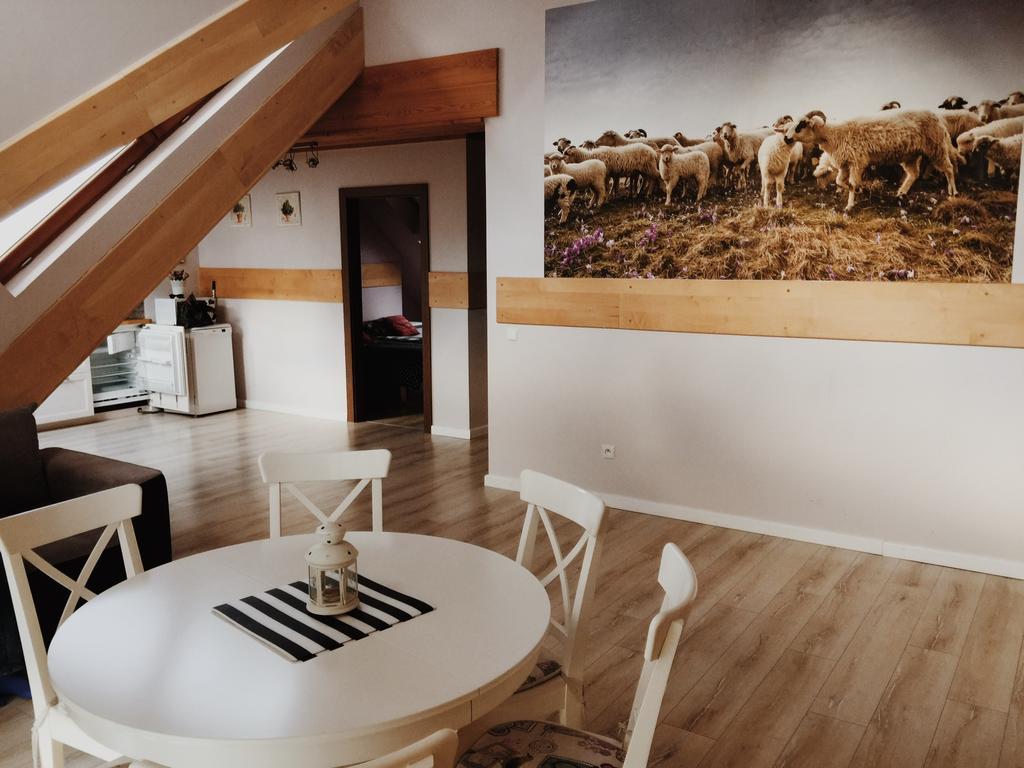 Apartamenty Siklawa Krupowki Zakopane Buitenkant foto